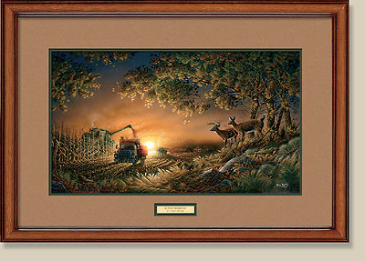 Sunset Harvest Framed Print